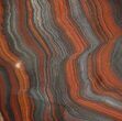 Polished Tiger Iron Stromatolite - ( Billion Years) #92965-1